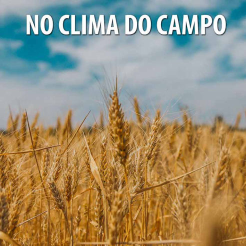 No Clima do Campo